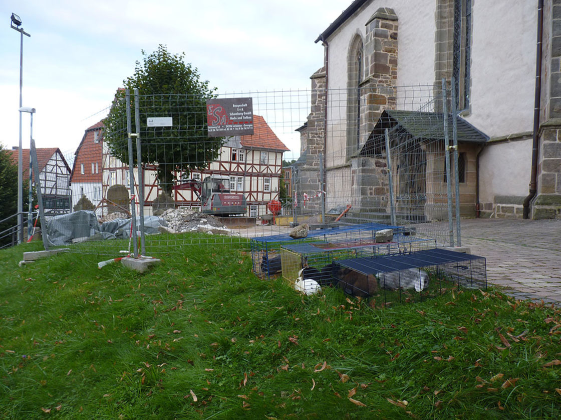 Pflaster- und Treppenarbeiten an St. Crescentius (Foto:Karl-Franz Thiede)